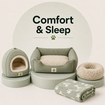 Comfort & Sleep