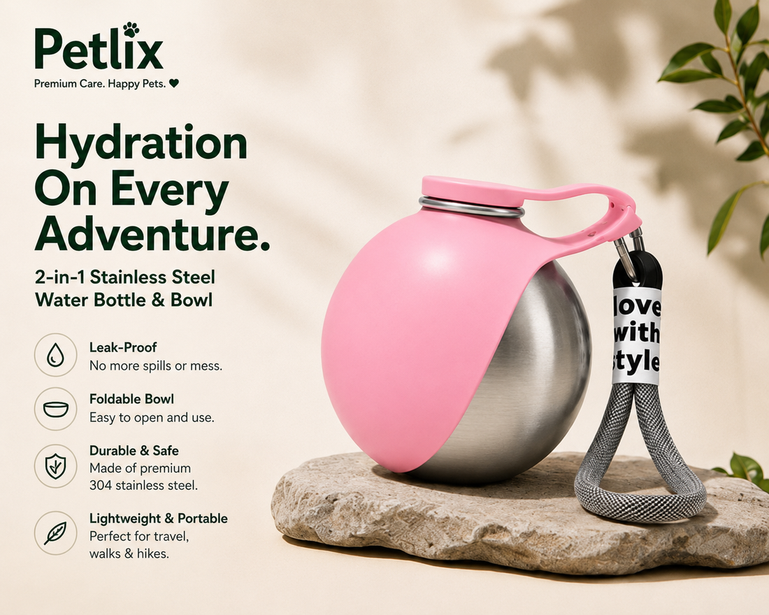 2-in-1 Dog Water Bottle & Bowl