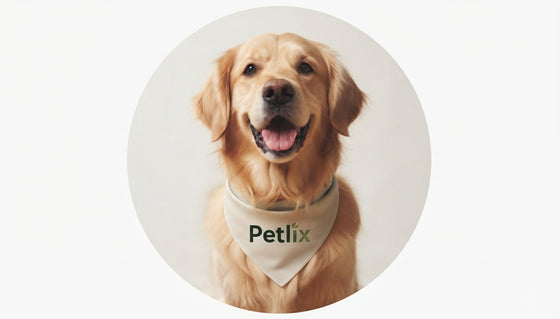 With gratitude, The Petlix family